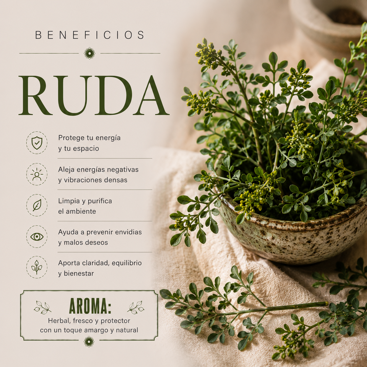 Incienso en Pirámide Ruda