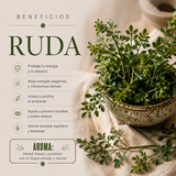 Incienso en Pirámide Ruda