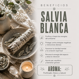 Incienso Salvia Blanca