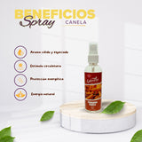 Aromatizador Ambiental Canela 100mL