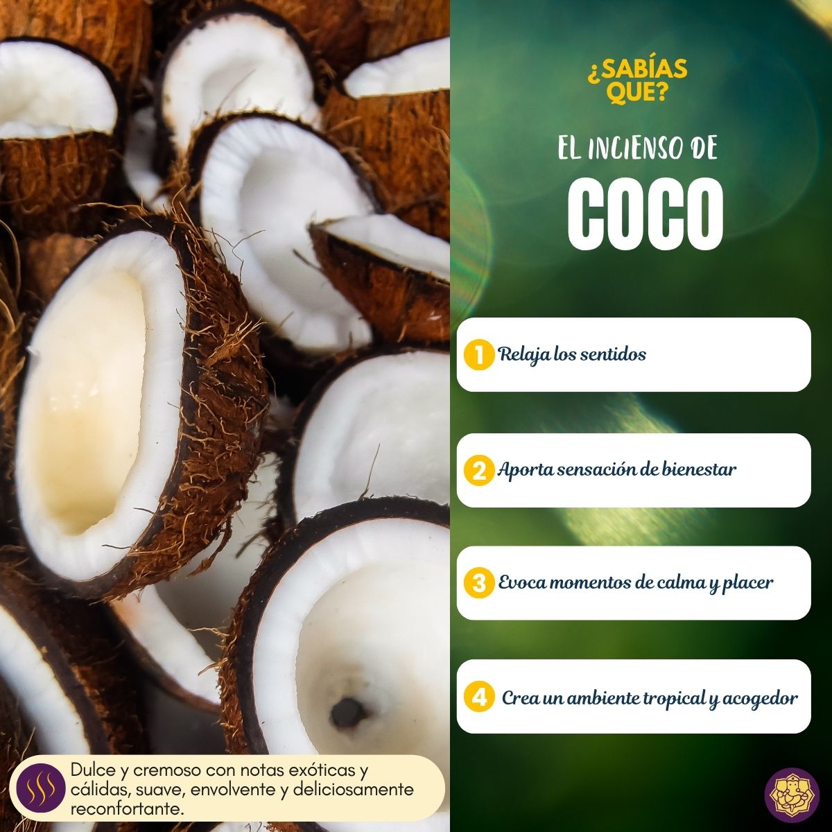Incienso Cascada Coco 120 Conos - Mavana
