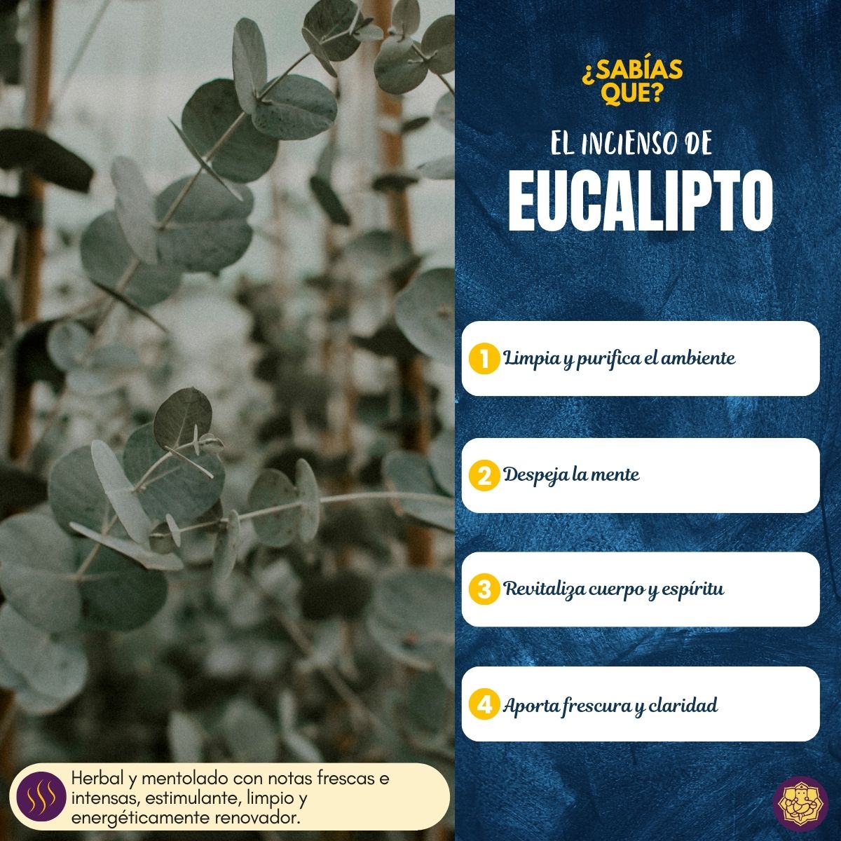 Incienso Natural Eucalyptus