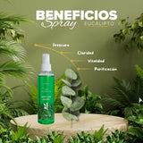 Aromatizador Ambiental Eucaliptos 250mL