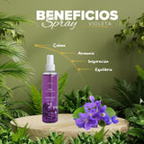 Aromatizador ambiental Violeta 250mL