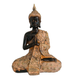 Buda Siddharta Soul Meditation